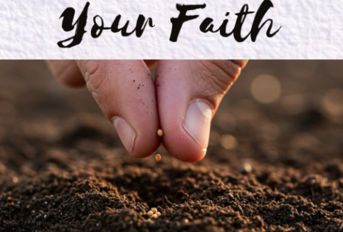 your faith